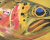 Cutthroat Giclee