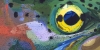 Trout Eye